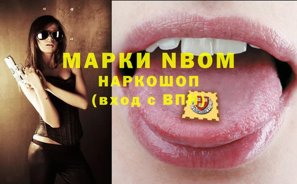 гидра Аркадак
